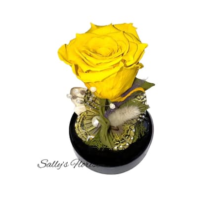 Sally's Preserved Roses - Globe Yellow 2024