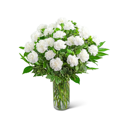 White Carnations Vase