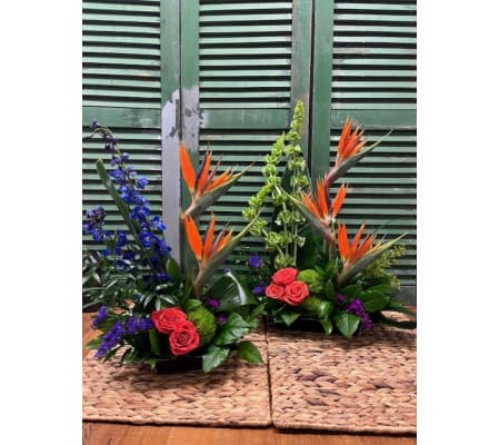 Vibrant Horizon Arrangement