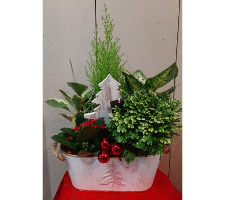 Festive Tropical Greens Planter