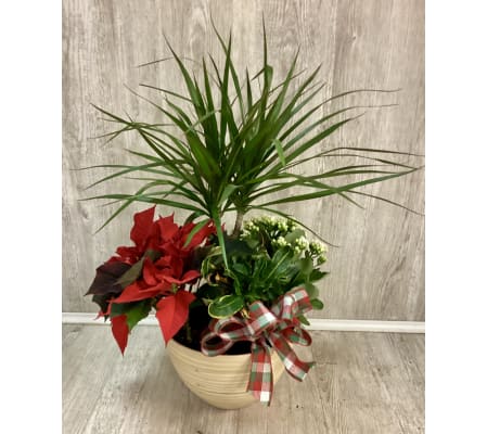 Warm Holiday Mixed Planter