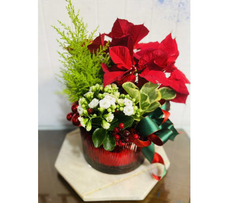 Christmas everlasting