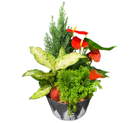 Luscious Seasonal Planter