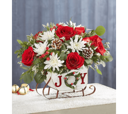 Dashing Through the Snow Joy Sleigh