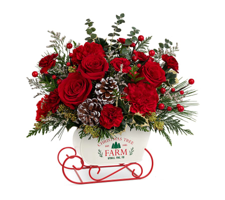 Snow What Fun Bouquet (Teleflora)