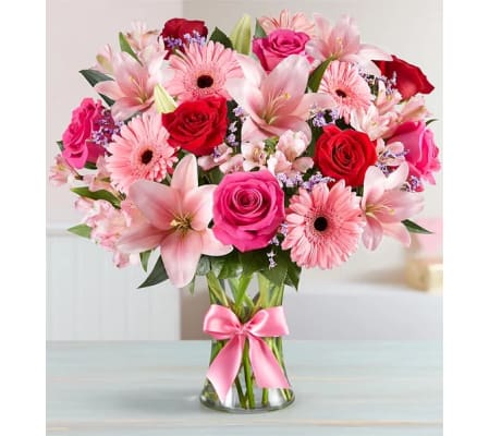 Fields of Europe Romance