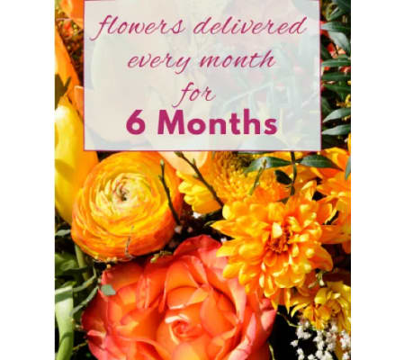 6 MONTH FLOWER SUBSCRIPTION