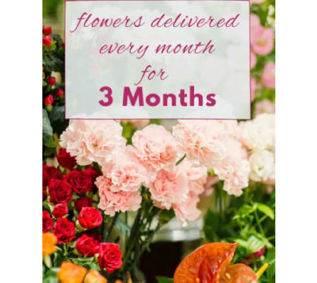 3 MONTH SUBSCRIPTION