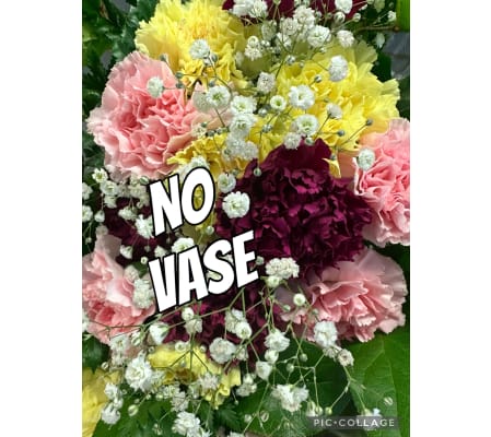 Colourful carnations