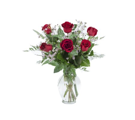 Half Dozen Vased Long Stemmed Roses