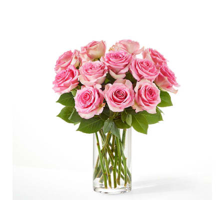Dozen Pink Roses