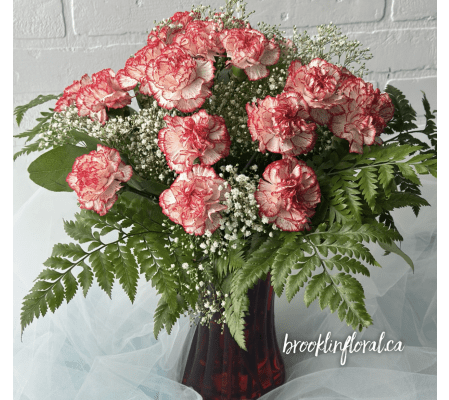 2 Dozen Red and White Carnations