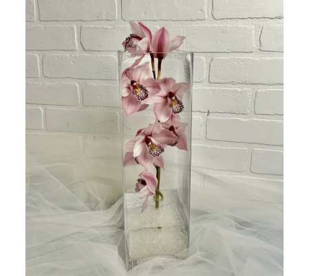 Cymbidium Orchid Centrepiece