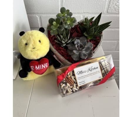 Please B my Valentine