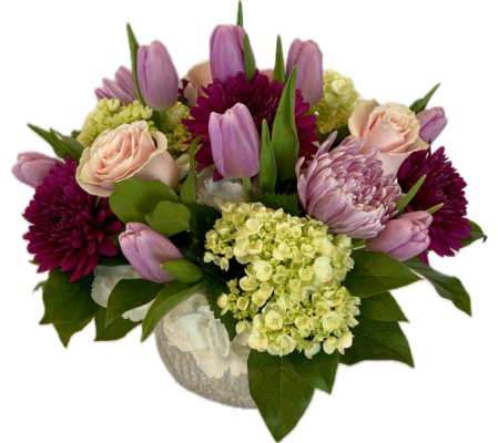 Cherish - Special Feature 2025