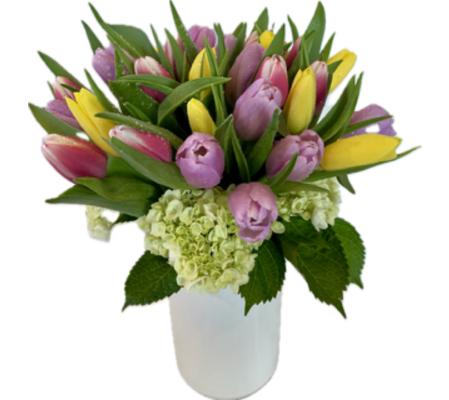 Darling - Special Feature 2025