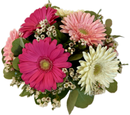 Sweetheart - Special Feature 2025