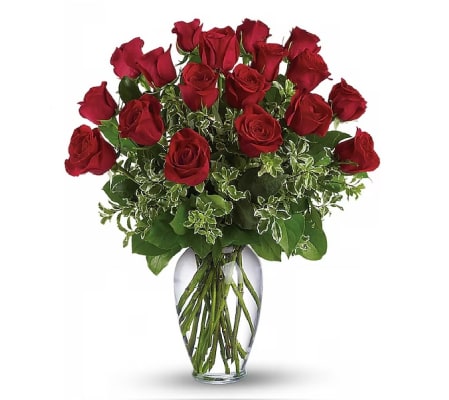 Passionate Ecuadorian Red Roses