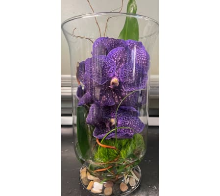 Purple Orchid Elegance