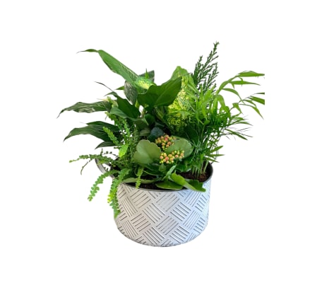 Lush Harmony Planter