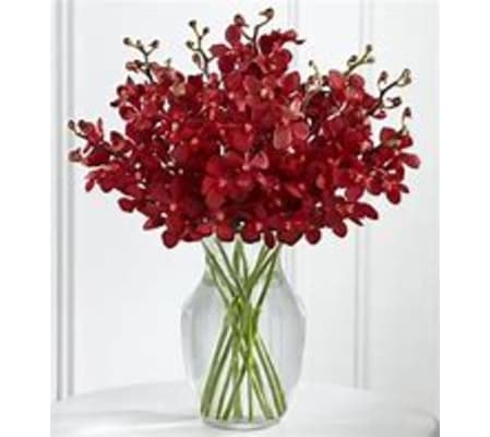 Crimson Elegance Orchid Vase