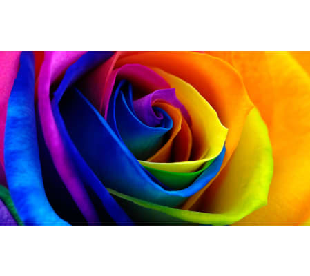 TIE-DYE ROSES