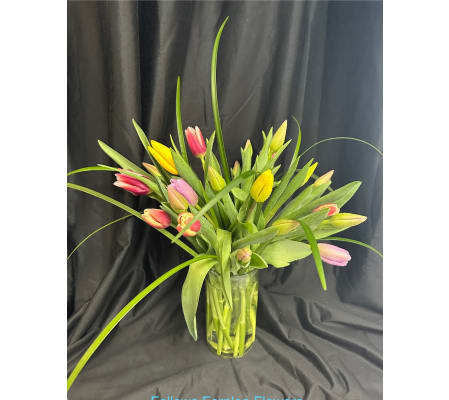 Fellows Springtime Tulips
