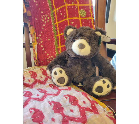 Clancy - The Dark Brown Bear