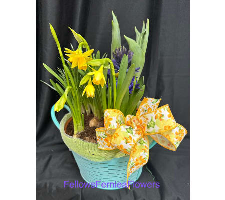 Springtime Bloom Basket