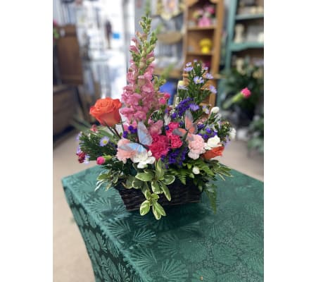 Butterfly Garden Basket