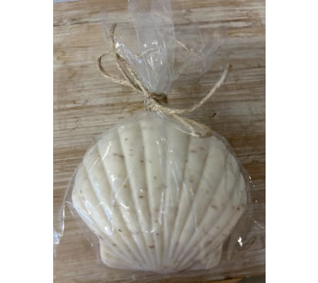 Seashell soap