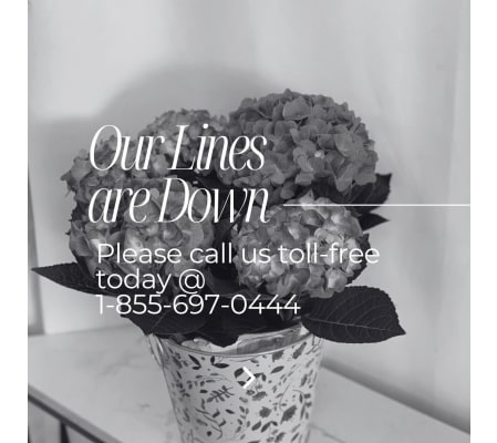 OUR PHONE LINES ARE DOWN