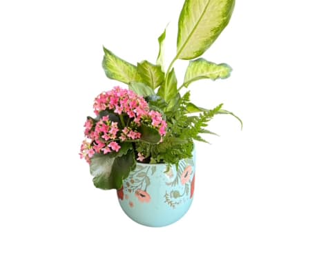 Bloom & Thrive Planter