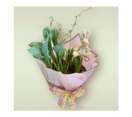 Spring Blooming Bulb Garden