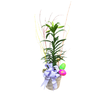 Easter Lily Basket