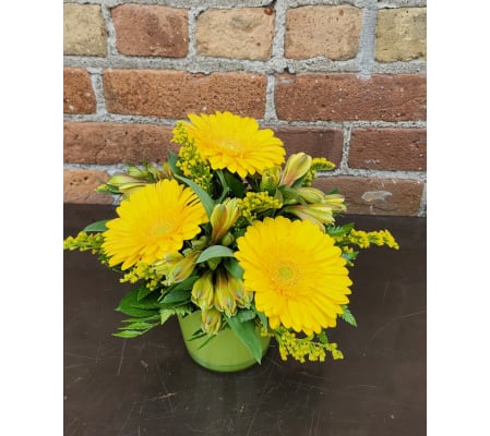 'By Design' Sunny Gerbera Pot
