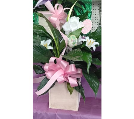 Easter Peace Lily Delight