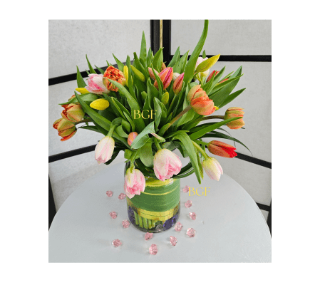  A world full of Tulips 