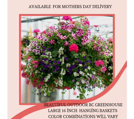 OVERSIZE 16 INCH OUTDOOR HANGING BASKET
