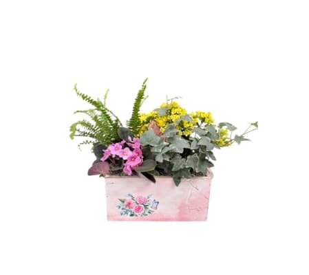 Sanctuary Wooden Planter