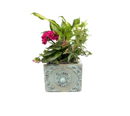 Small Wooden Drawer Planter