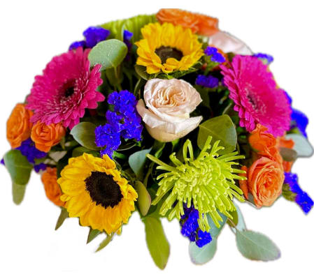 Jubilee - Special Feature 2025 Mothers Day