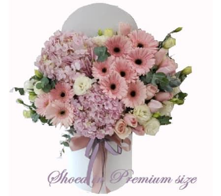 Dreamy Daisy Delight