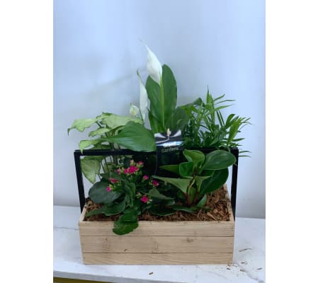 Modern Planter Box