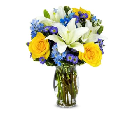 Blue Skies & Sunshine