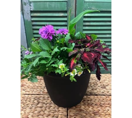 LARGE-Sunshine Garden Outdoor Patio/Deck Pot 