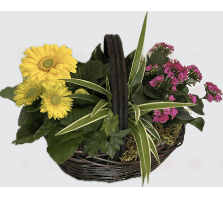 Gratitude Garden Basket