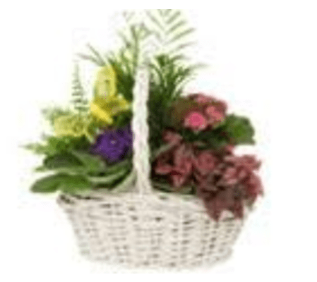 Angie Planter Basket