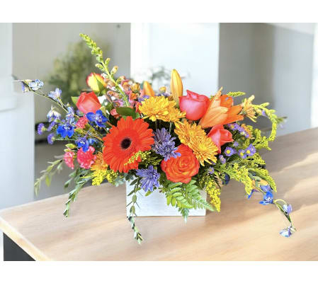 Rustic Colorburst Garden Delight