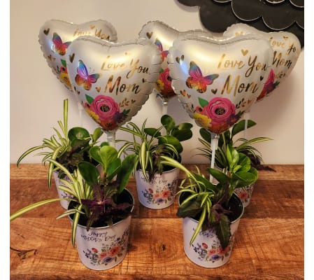 BALLOON PLANTER 2